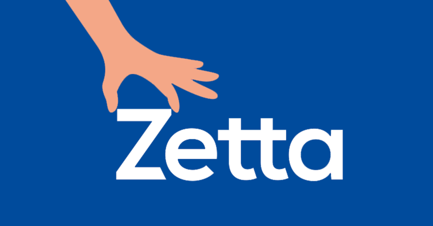 Zetta lança cartilha para ajudar consumidores a se protegerem contra ...